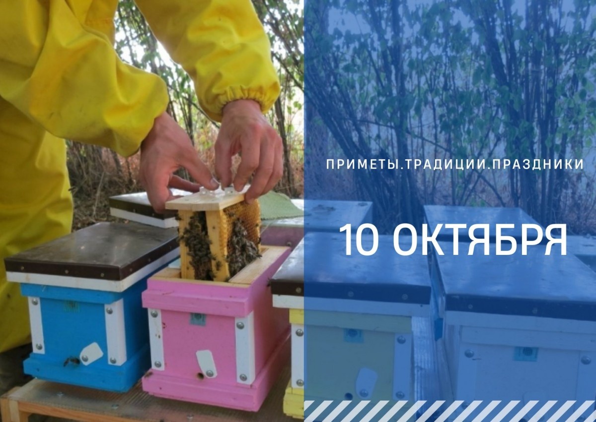   ГТРК "Ставрополье"