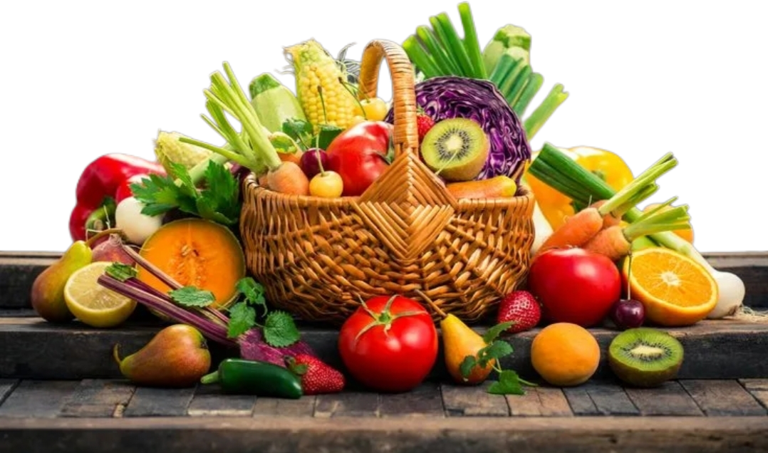 Клеточное питание состоит только из стволовых клеток растений, фруктов и овощей