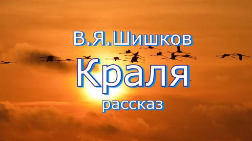 Аудиокнига В.Я.Шишков _Краля_ рассказ