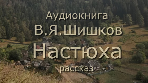 Аудиокнига В.Я.Шишков _Настюха_ курьёзный рассказ. Читает Ю.Насыбуллин.