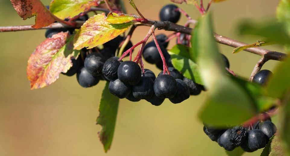    Soeren Stache/ZB / Global Look Press