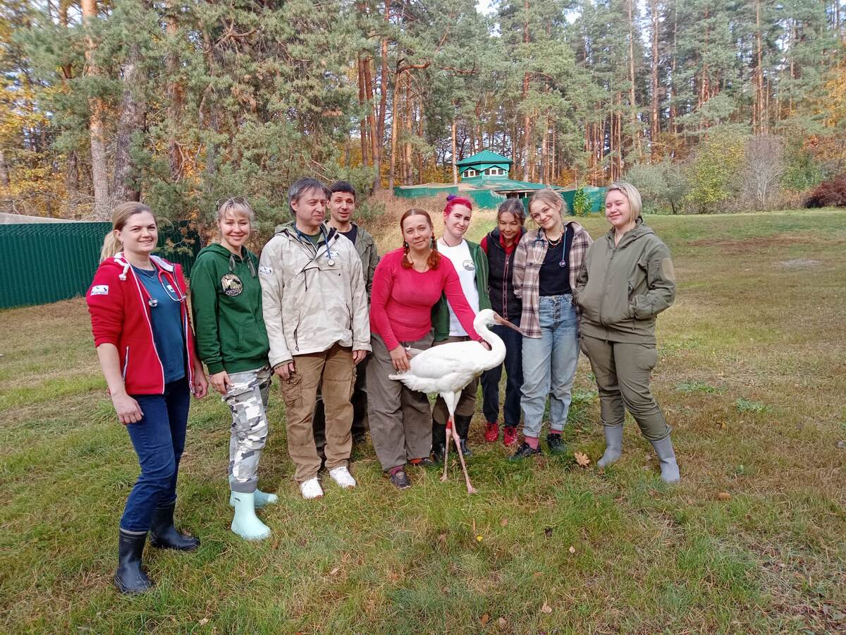 Команда Госпиталя дикой природы с сотрудниками Питомника редких видов жуоавлей ОГБЗ