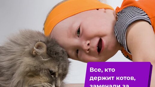 😺Почему и зачем кошка бодает хозяина