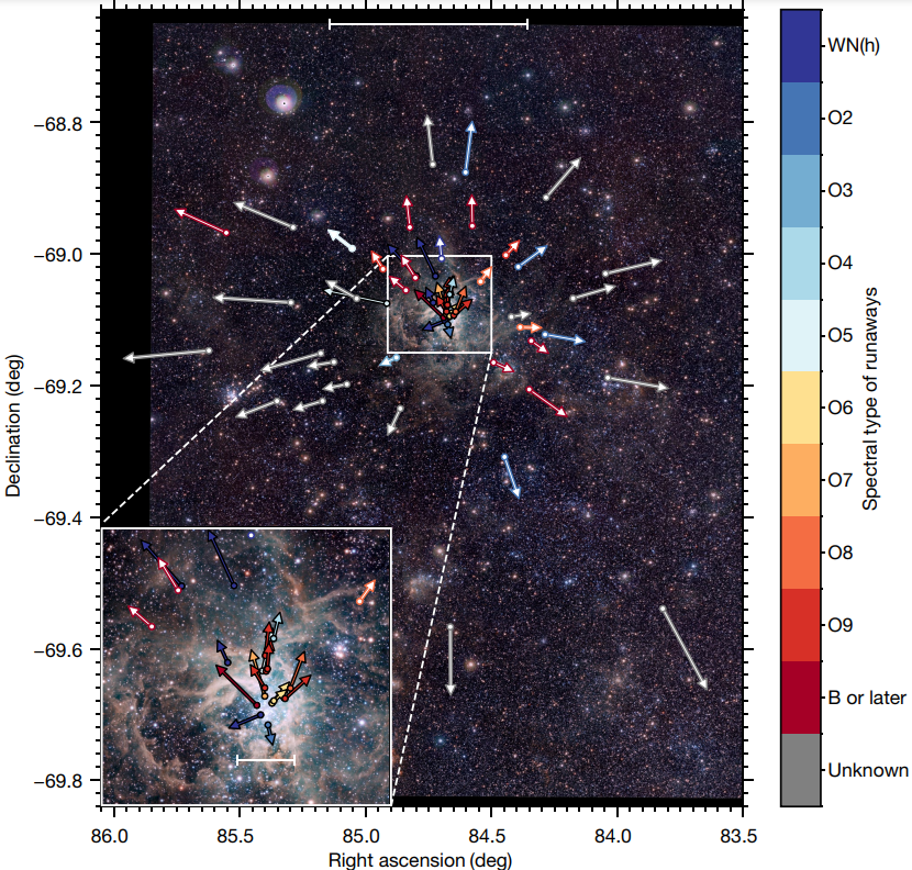   Mitchel Stoop et al. / Nature, 2024