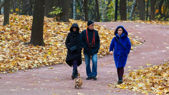    Синоптик рассказал, когда в Москве похолодает почти до 0°C Роман Захаров