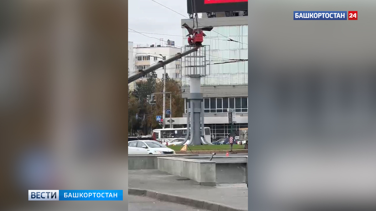    "Это временное решение": в администрации Советского района Уфы объяснили появление арт-объекта с изображением куницы