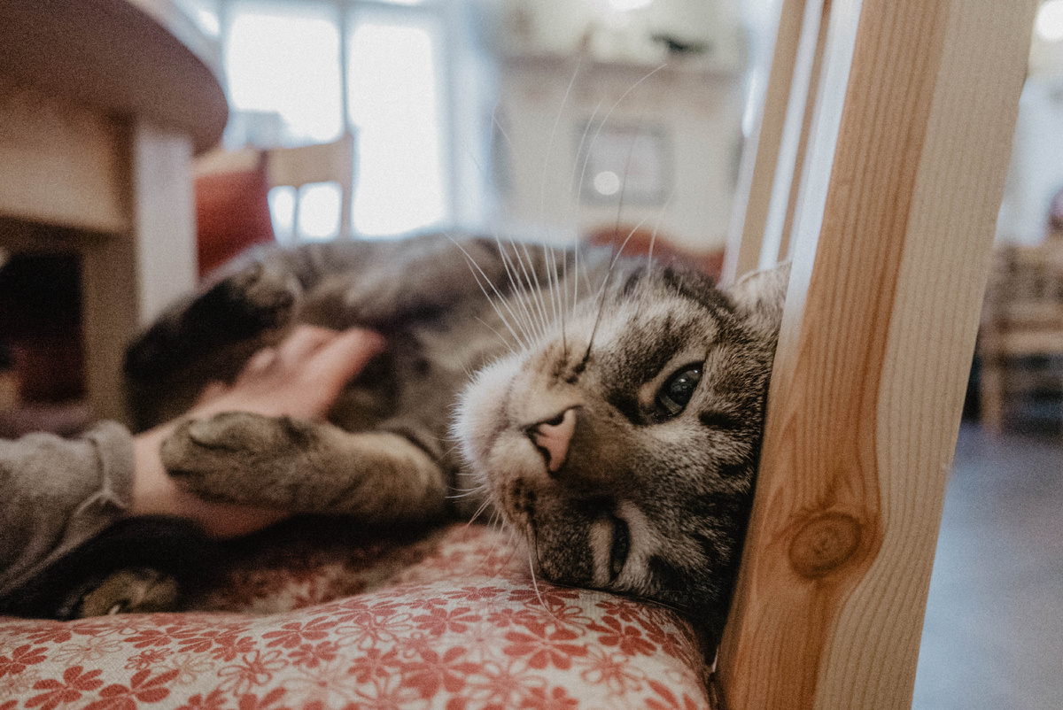 © miamiamia/ Shutterstock