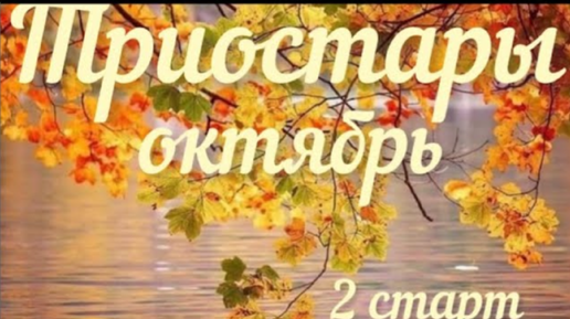 Я разболелась, но вязала шапочки для торопыжек _ СП «Триостарты» 2 старт _ Участник 37 _