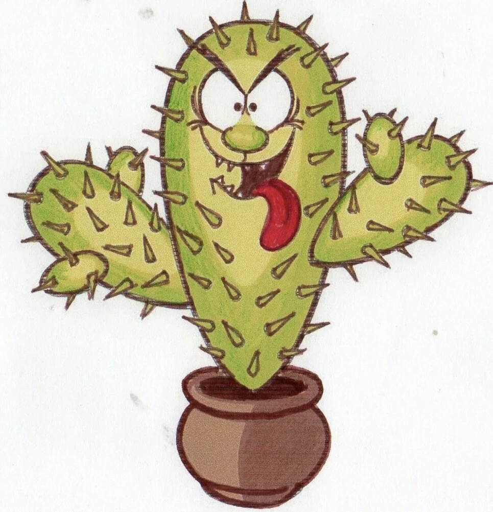 Картинка из интернета. 