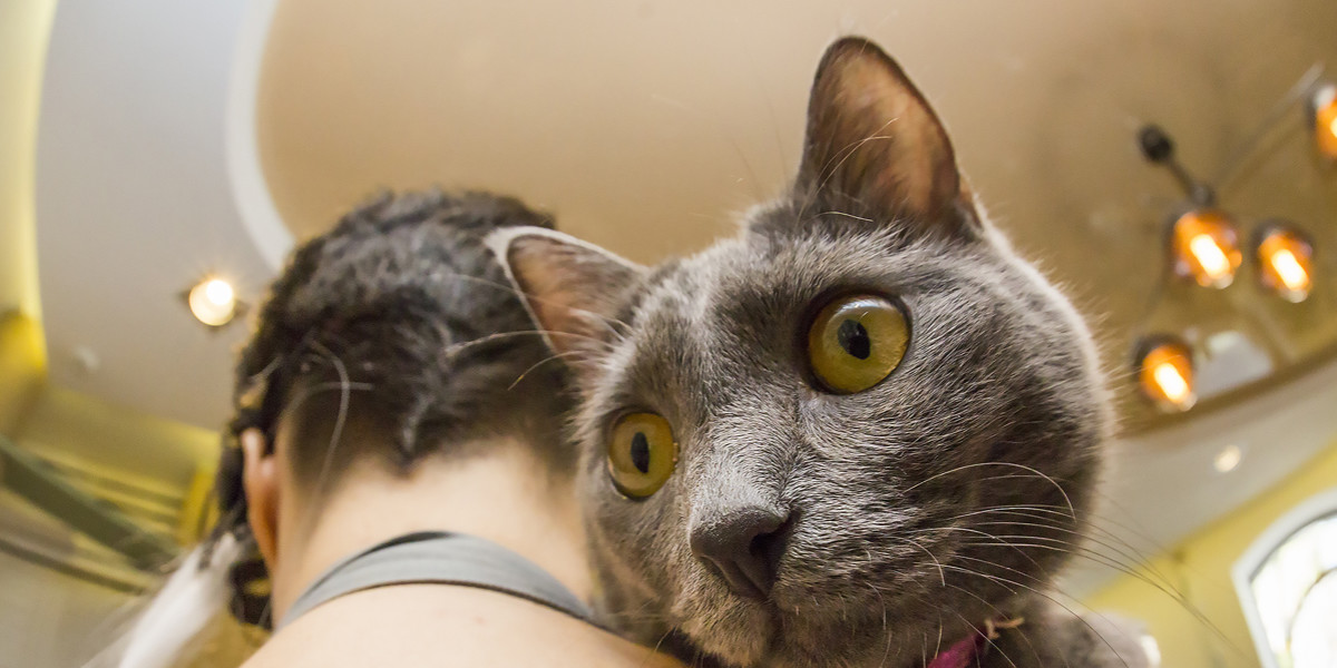 Фото взято с открытых источников