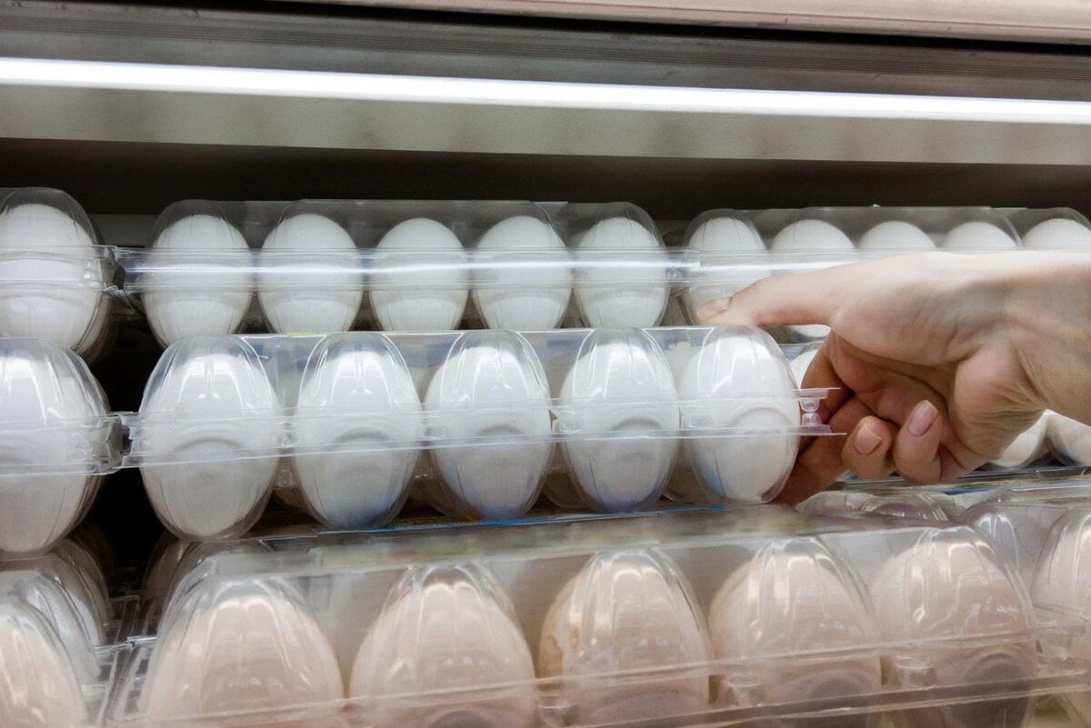    Ретейлеров предупредили о якобы росте цен на яйца в ноябре. Shutterstock