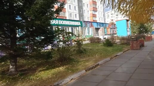 С Ваней в поликлинику. Раскидали песок. Капусту солить не буду.