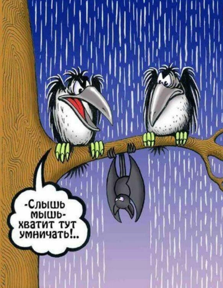 Источник Яндекс картинки