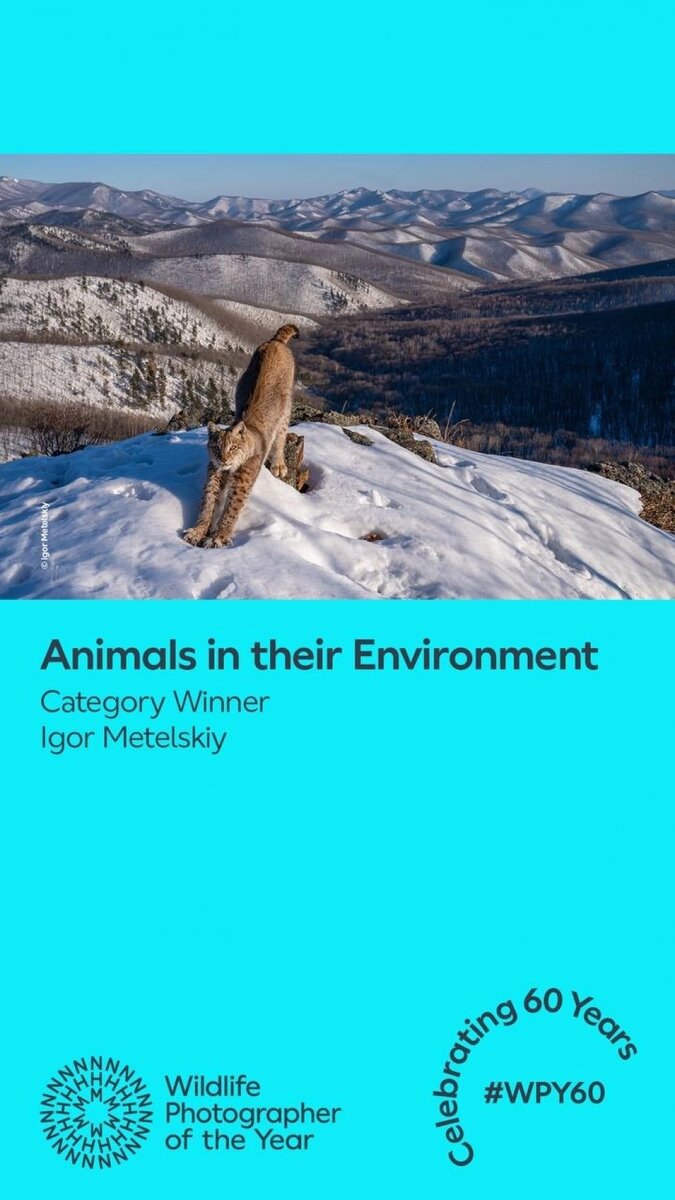    Фото: Telegram-канал фотографа Игоря Метельского