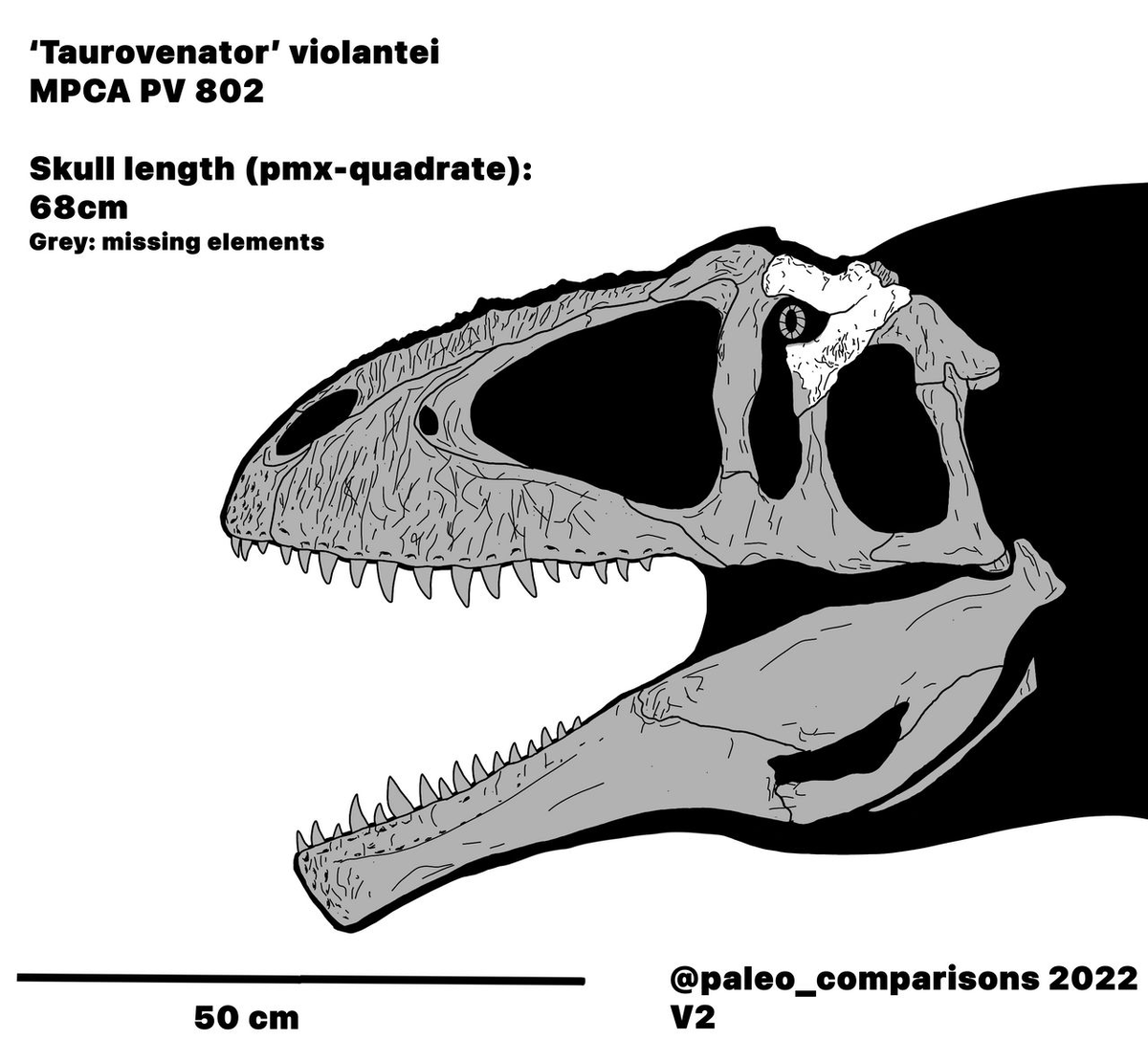Всё, что раньше было известно от тавровенатора