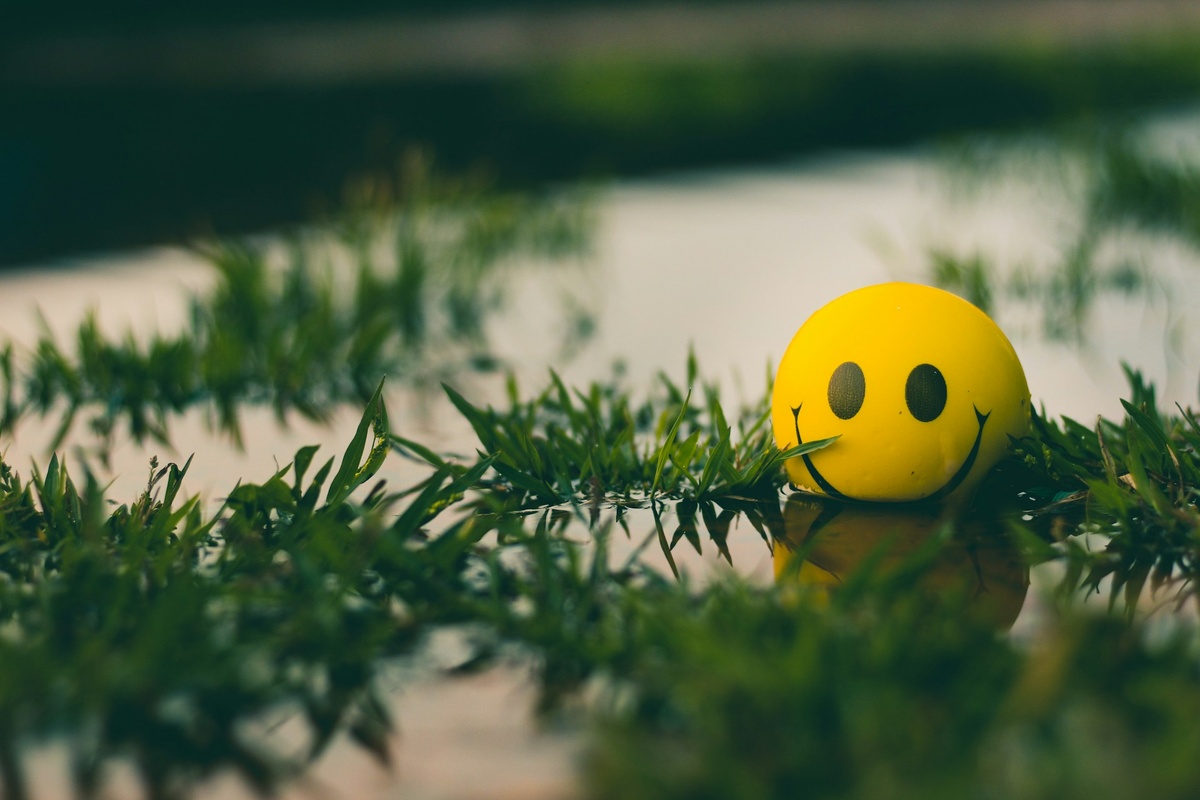    Unsplash