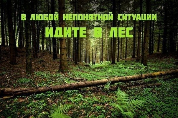 Картинка из Интернета