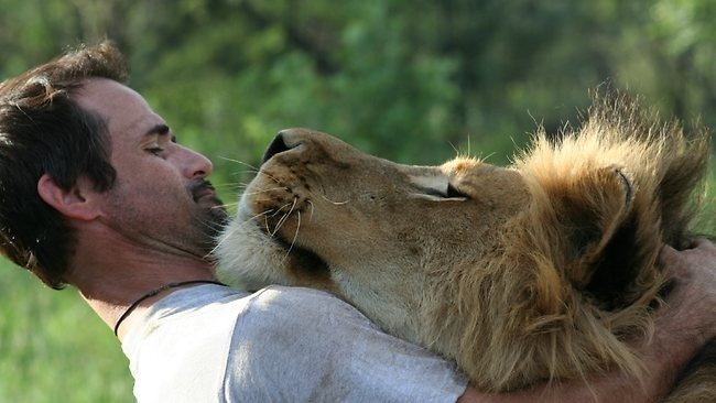 Добавьте описание