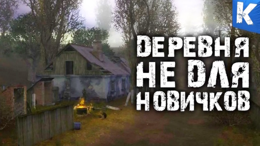 S.T.A.L.K.E.R деревня НЕ для новичков. Alife симулятор №1