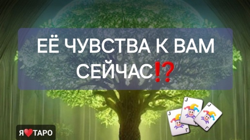 Её чувства к вам, настроения⁉️ Расклад таро для мужчин