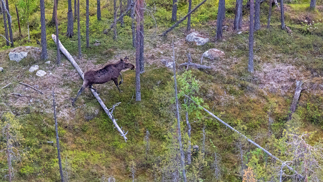    Фото: Serguei Fomine / /Globallookpress.