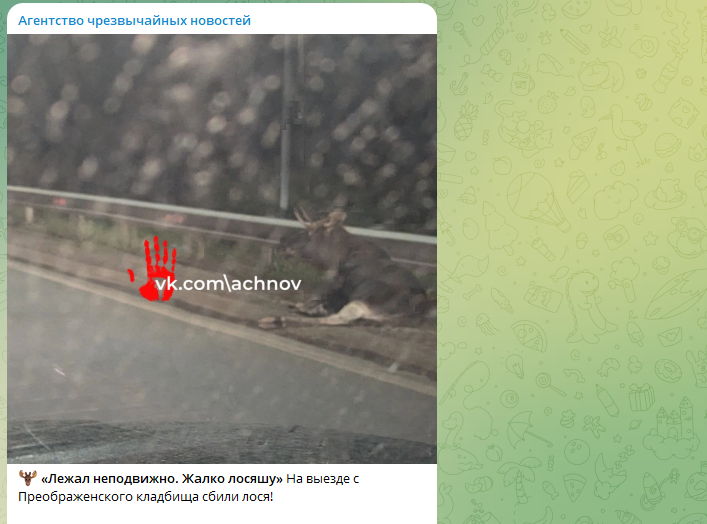    Скриншот ТГ-канала "Агентство чрезвычайных новостей".