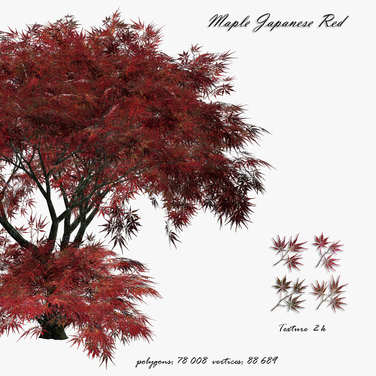 
Качественная 3D модели японского Веерного красного клёна с минимальным количеством полигонов; polygons: 78 008
vertices: 88 689
 Хорошо подойдёт для сцен с большим содержанием растительности.
Можно использовать как в ландшафтном дизайне, так и в создание естественных пейзажей на игровом движке.
Модель дерева, сгруппированная все детали, имеют соответствующие названия, находятся на отдельном слое.
Путь к файлам текстур обрезан.

Textures Formats:
- Bark   2/jpg 1024+2048
- Leaves 1/jpg 2048+2048  1/ TGA 2048+2048

Цена модели 10$.
Пришлите на почту panielena@ya.ru название, номер модели и формат, можно ссылку на страницу с моделью.
Оплата по номеру 8-905-514-38-29 телефона в Сбербанке.
Внимание. Почта проверяется один раз в день.
