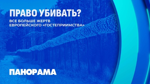 ❗️Ситуация на белорусско-литовской границе накаляется. Новые жертвы миграционного кризиса. Панорама