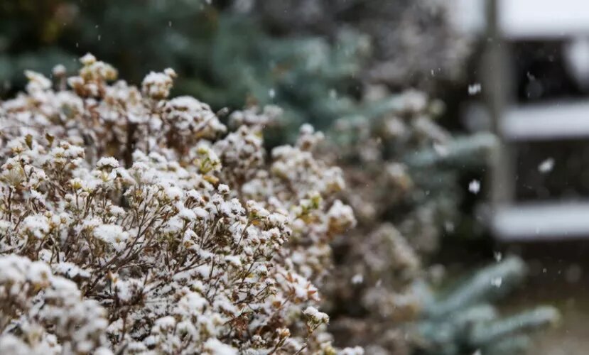    Погода в Ижевске на день: 10 октября ждем дожди со снегом и до +4°С