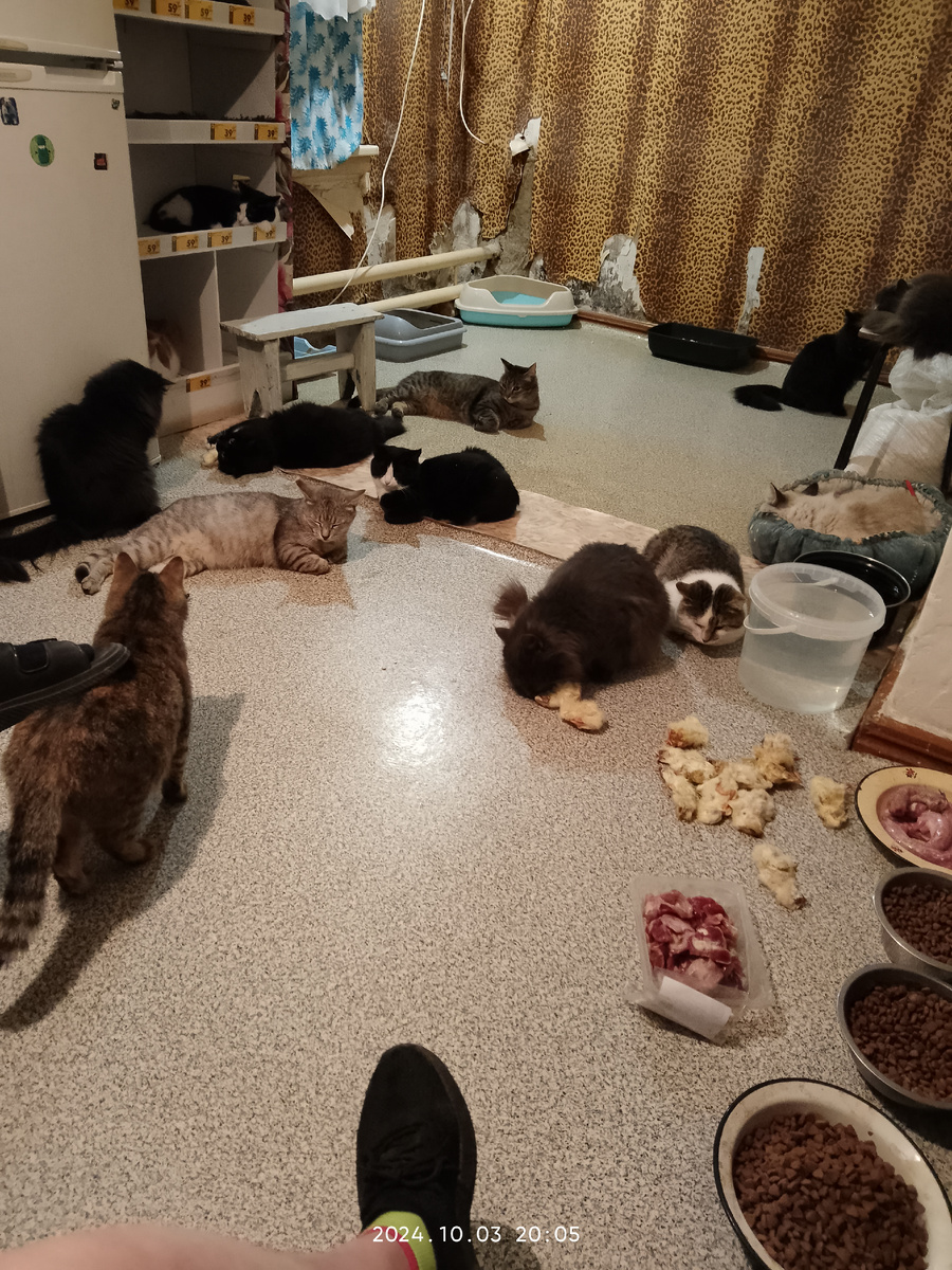 Дом, милый 🏡Дом