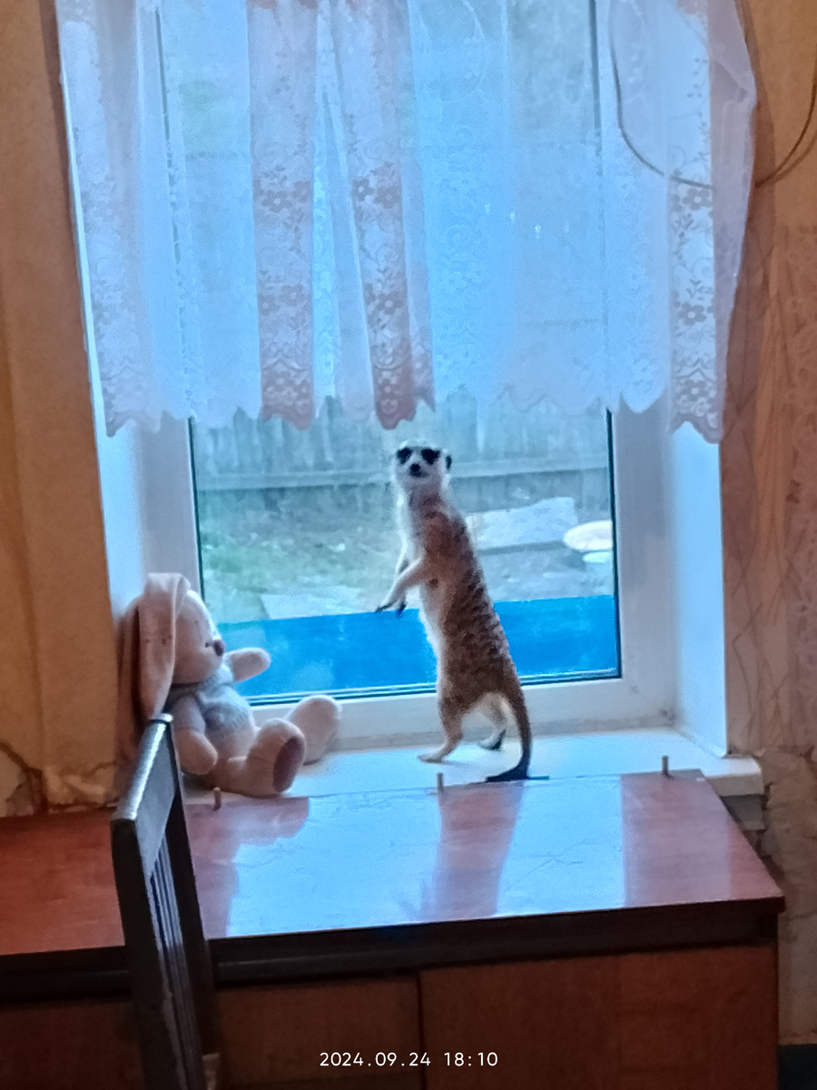 Тима и Сури у себя в комнате 🥰