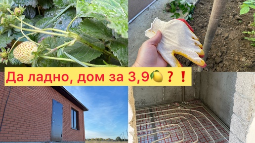 Клубника в октябре. Огородные дела. Да я в шоке! Новый ДОМ за 3,900🍋 я тоже хочу! Стройка, и ищем соседей для Татьяны и Виктории😎👍