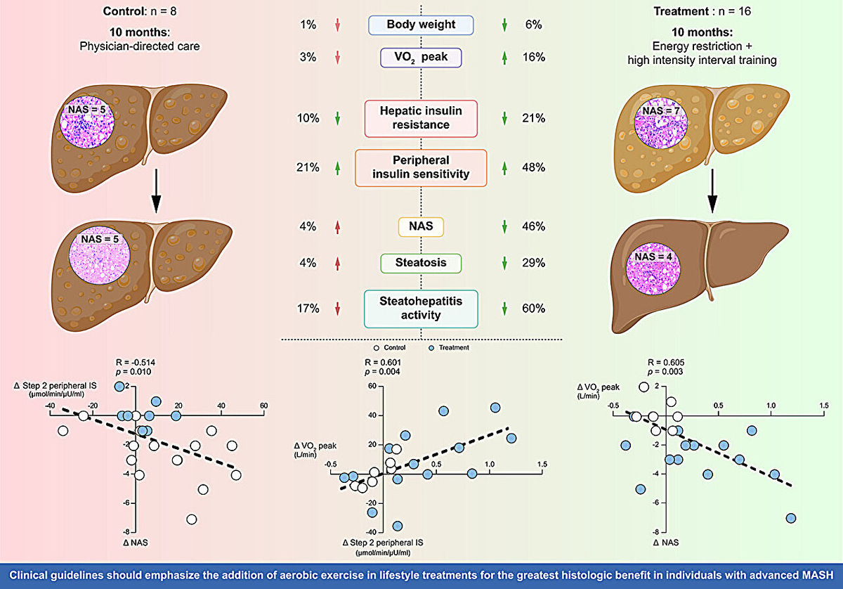    Journal of Hepatology