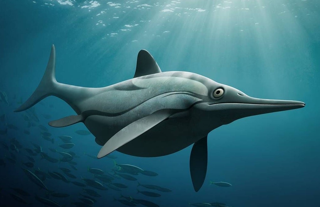 (Источник: Яндекс.Картинки)