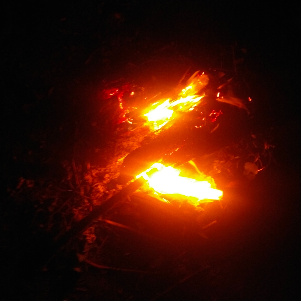 Фото автора канала