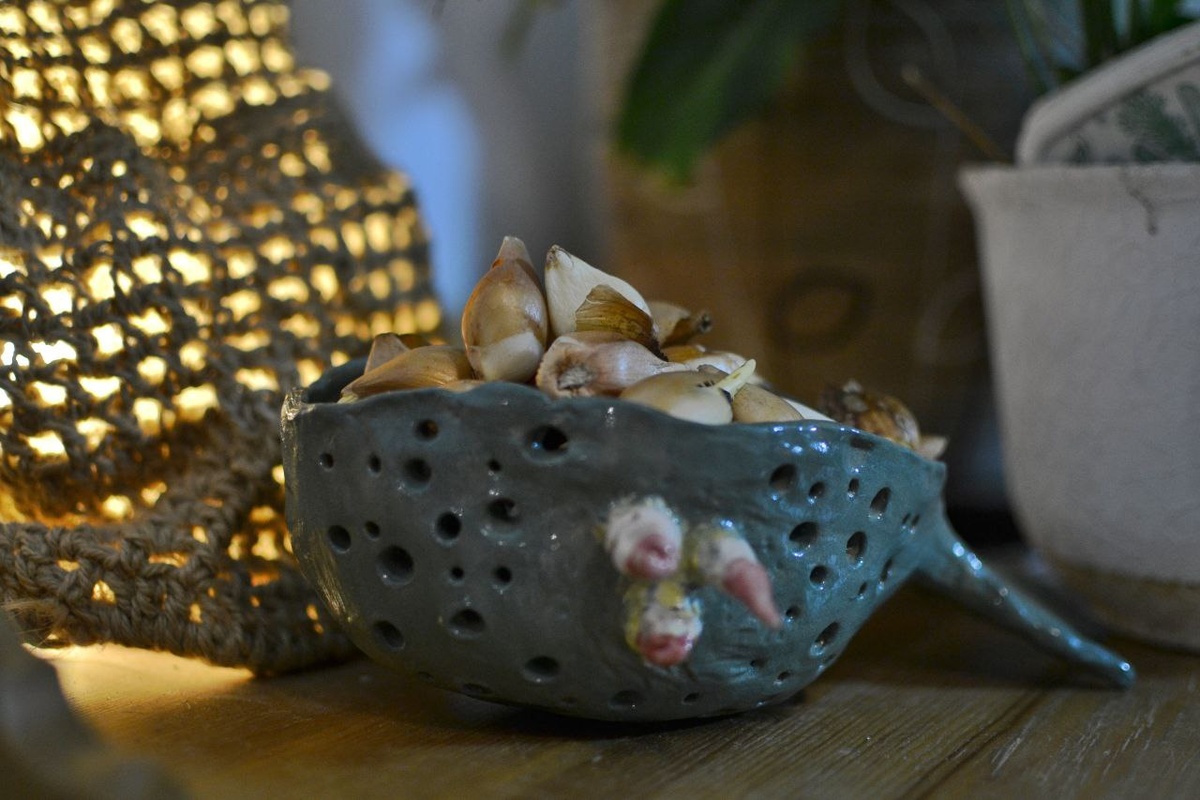 Терапевтические луковички 