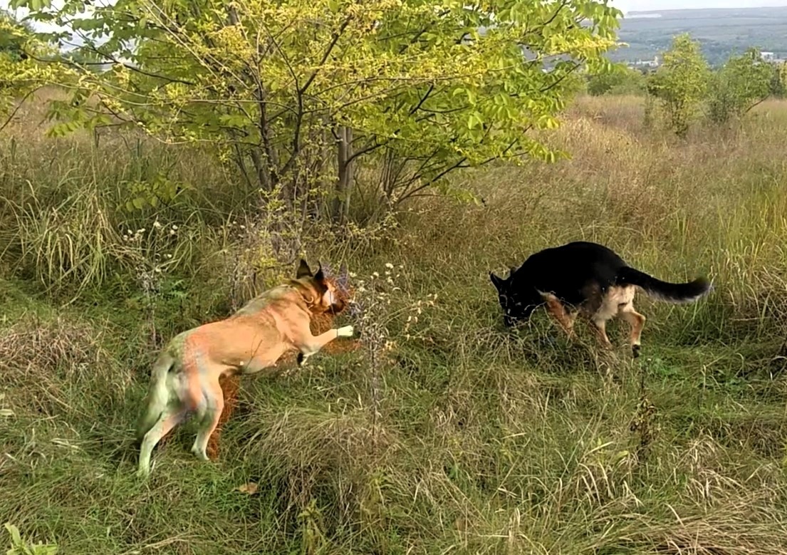 Фото автора