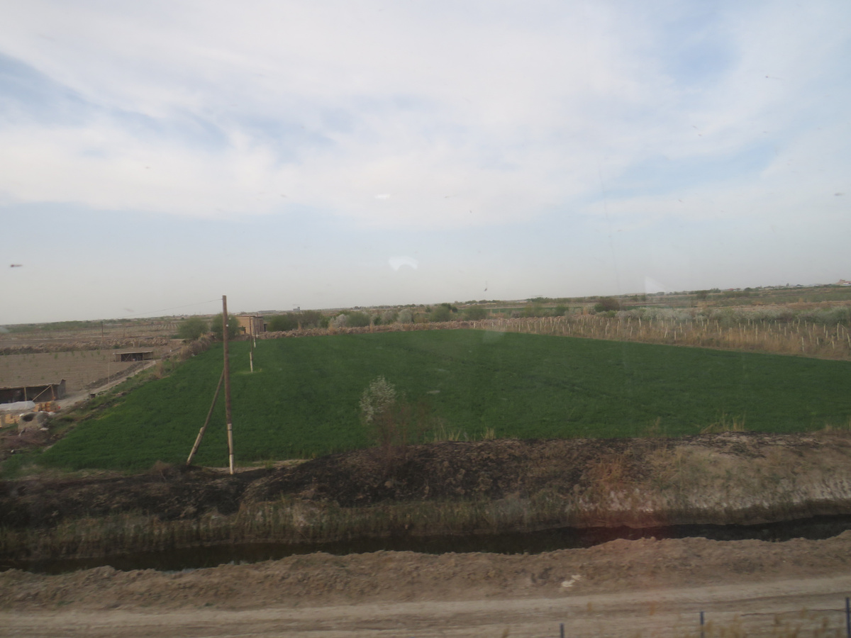 Поля вдоль железнодорожных путей в Узбекистане