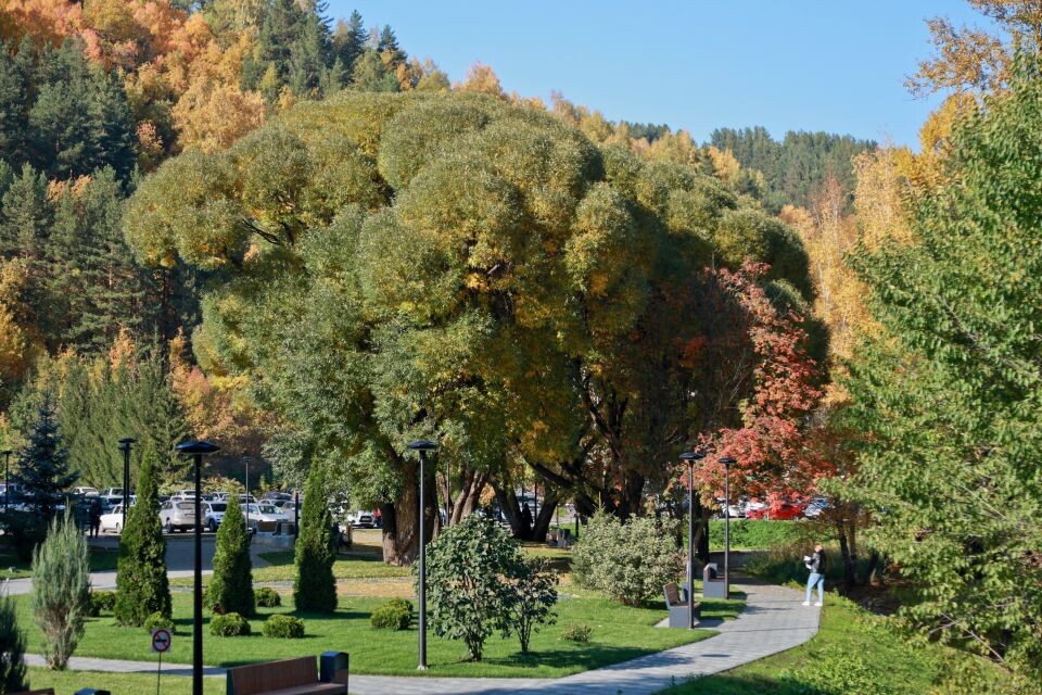    Прогулка по Белокурихе и ее окрестностям. Источник: Олег Укладов