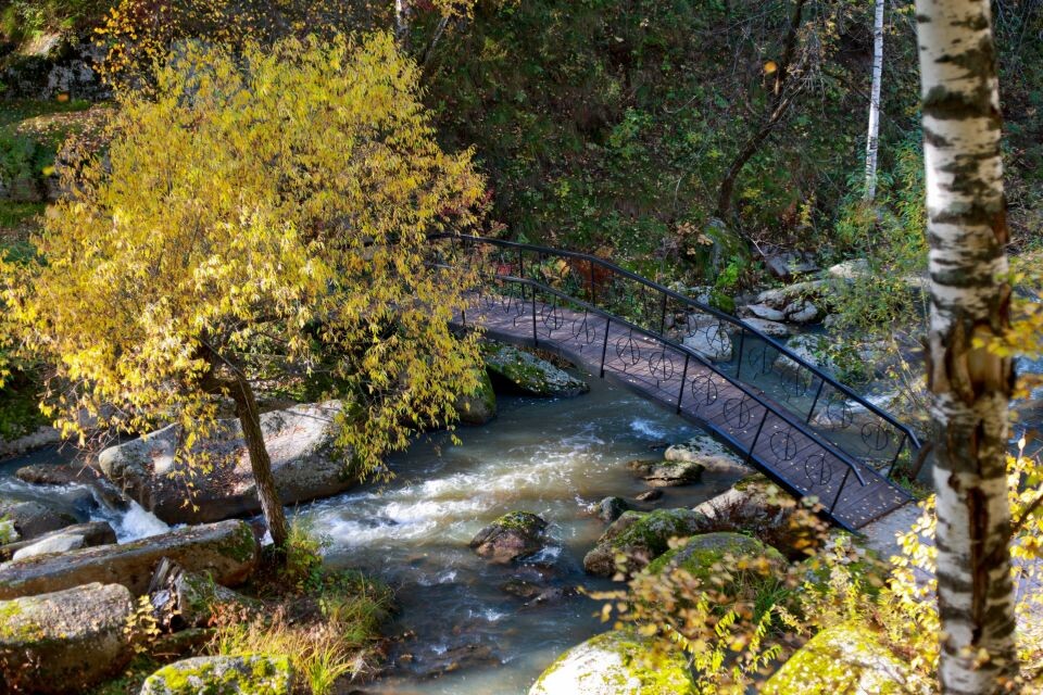    Прогулка по Белокурихе и ее окрестностям. Источник: Олег Укладов