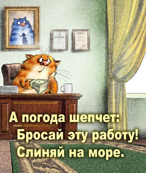 очаровательные коты Рины Зенюк