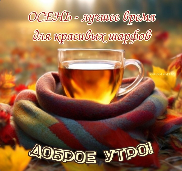 Доброе утро! Осень - лучшее время для красивых шарфов.