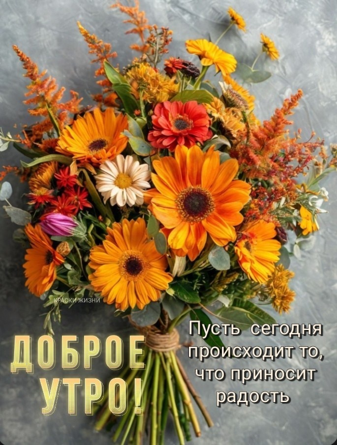 Доброе утро! Пусть сегодня происходит то, что приносит радость.
