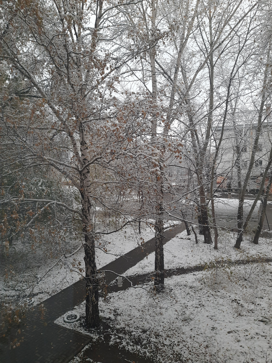 Вот такая погода за окном