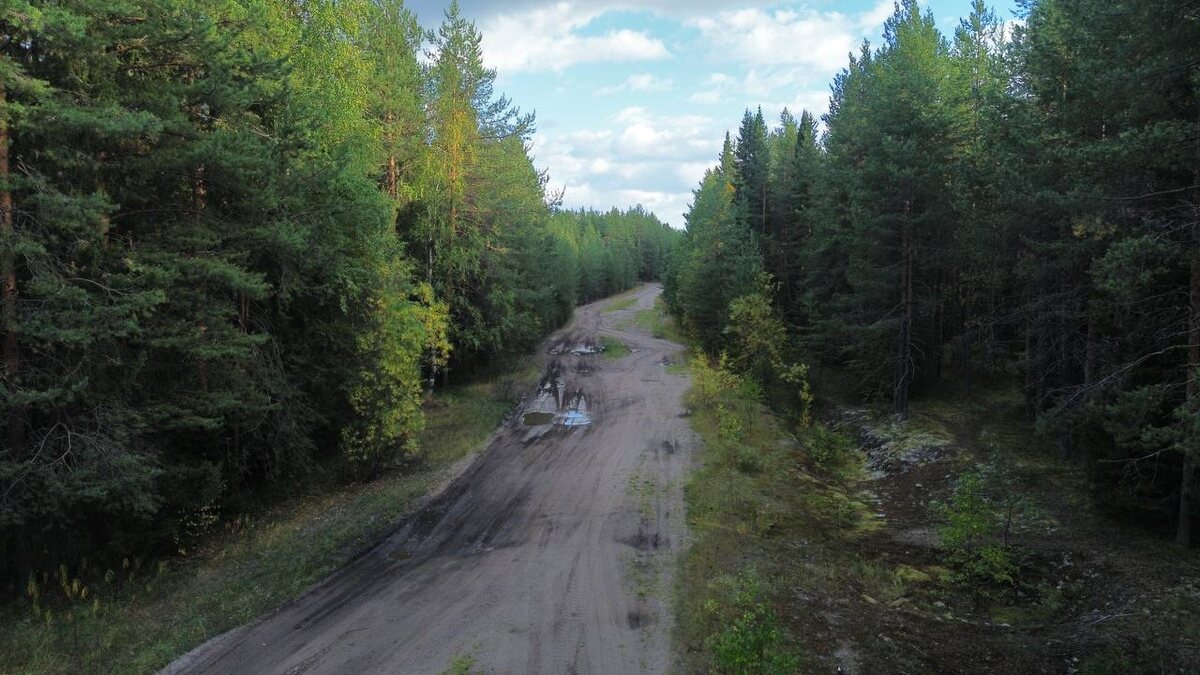 Таинственный путь через лес, где старая и новая дороги расходятся