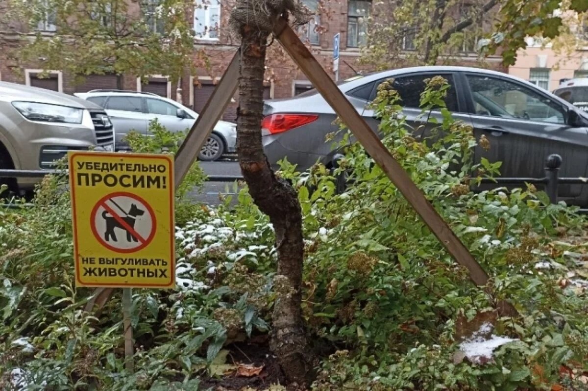    В Городском саду у омского ТЮЗа запретили гулять с собаками