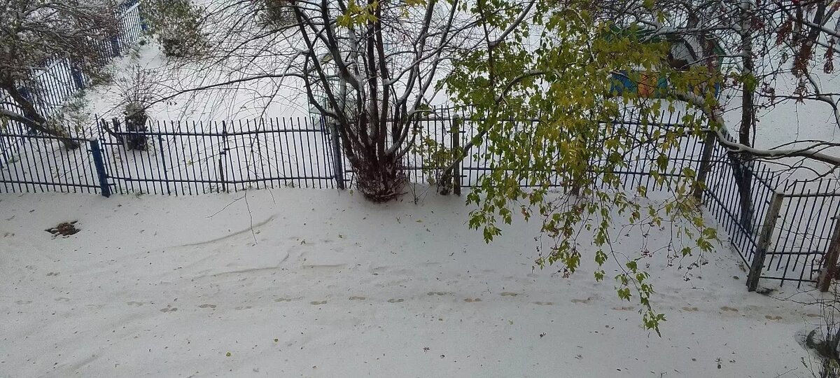     Источник: tagilcity.ru