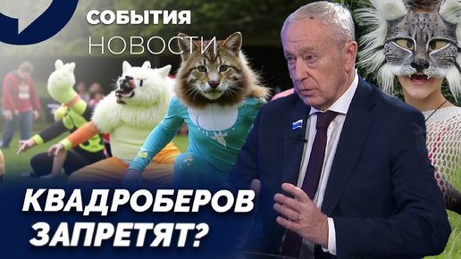 Фурри, квадроберы и хоббихорсинг: почему в России хотят запретить новые субкультуры?