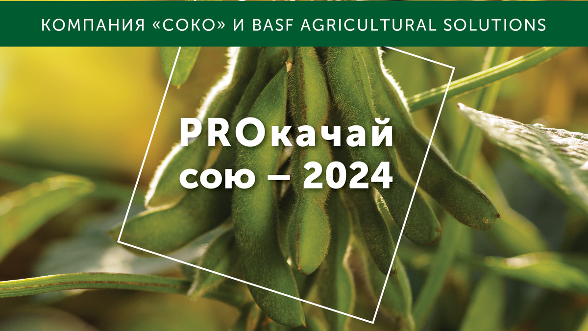 Проект "PROкачай СОЮ" направлен на изучение влияния различных схем защиты и питания на раскрытие продуктивности сортов сои