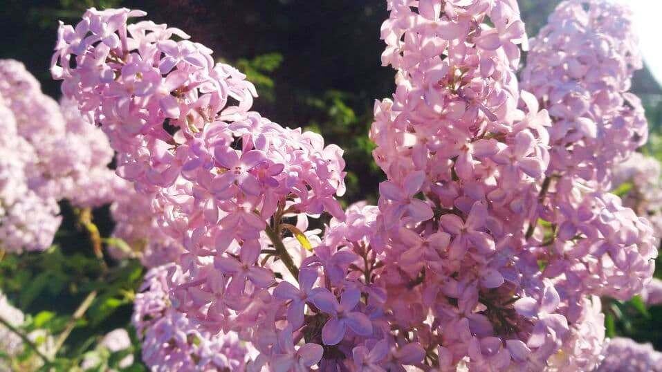     Источник: rosbalt.ru